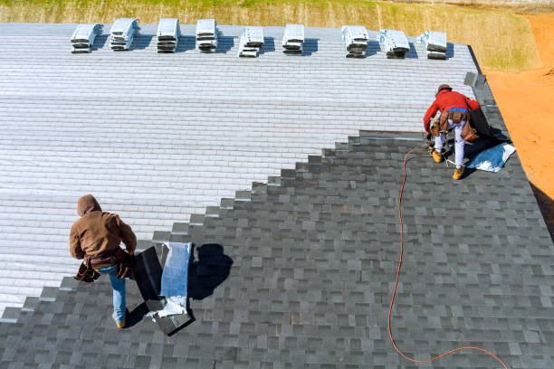 Best Roof Gutter Cleaning  in Sanford, NC